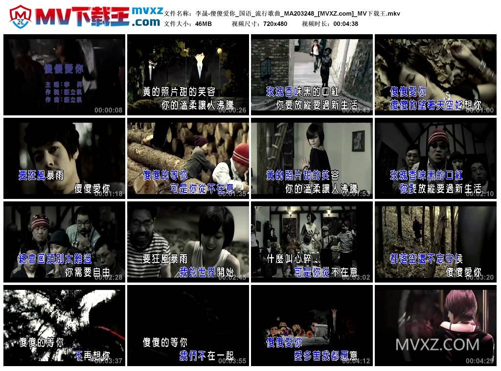 李晟-傻傻爱你_国语_流行歌曲_MA203248